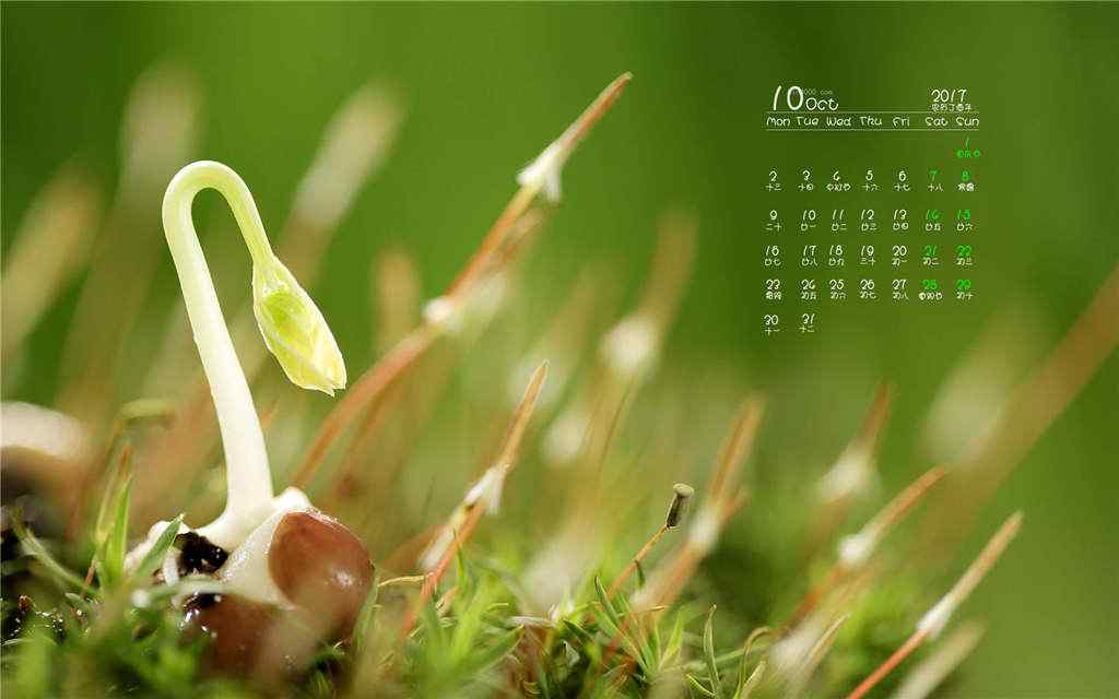 2017年10月日历可爱植物嫩芽桌面壁纸