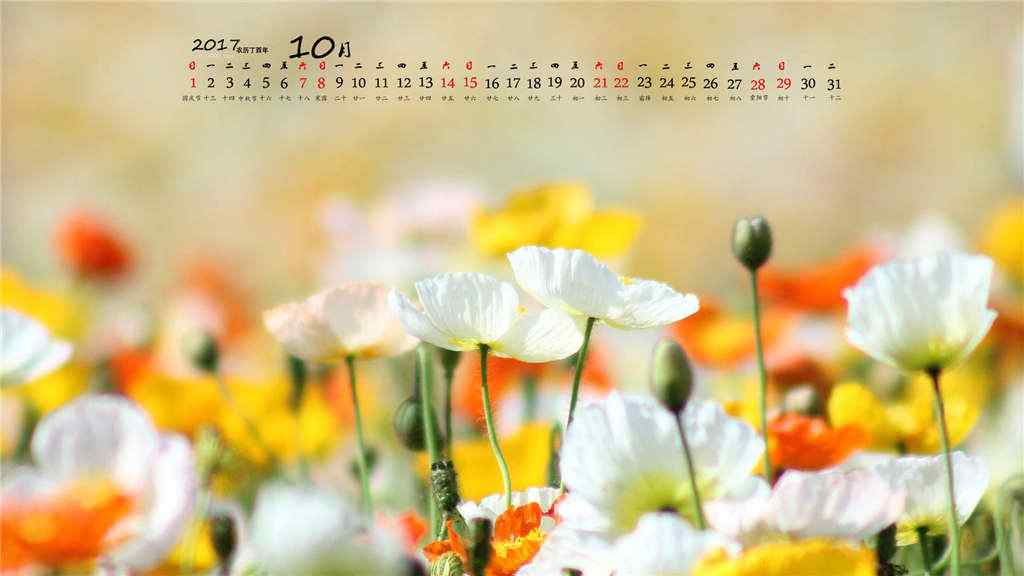 2017年10月日历可爱的小花桌面壁纸