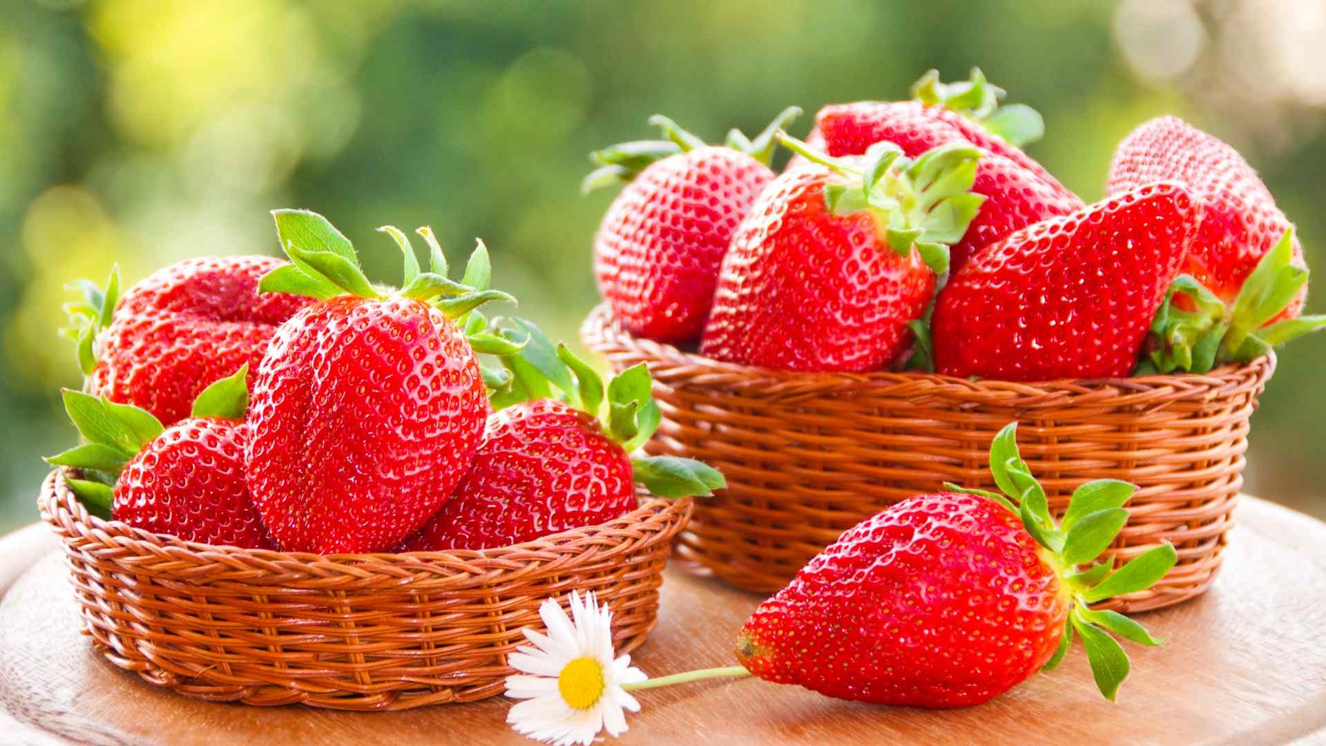 草莓 新鲜 水果 篮子 花卉 甜甜的 红草莓 桌面壁纸