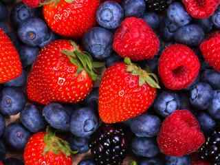 草莓 蓝莓 水果 