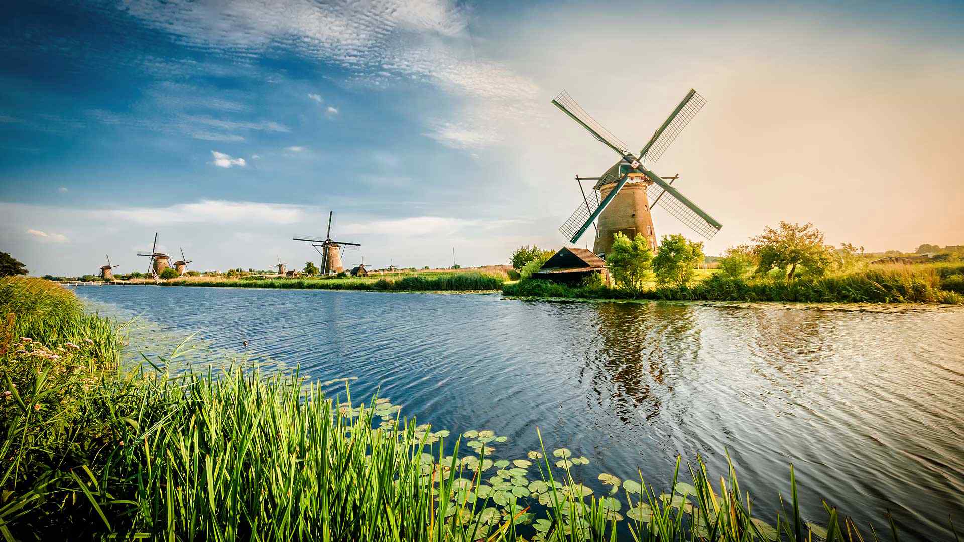 荷兰风车摄影壁纸