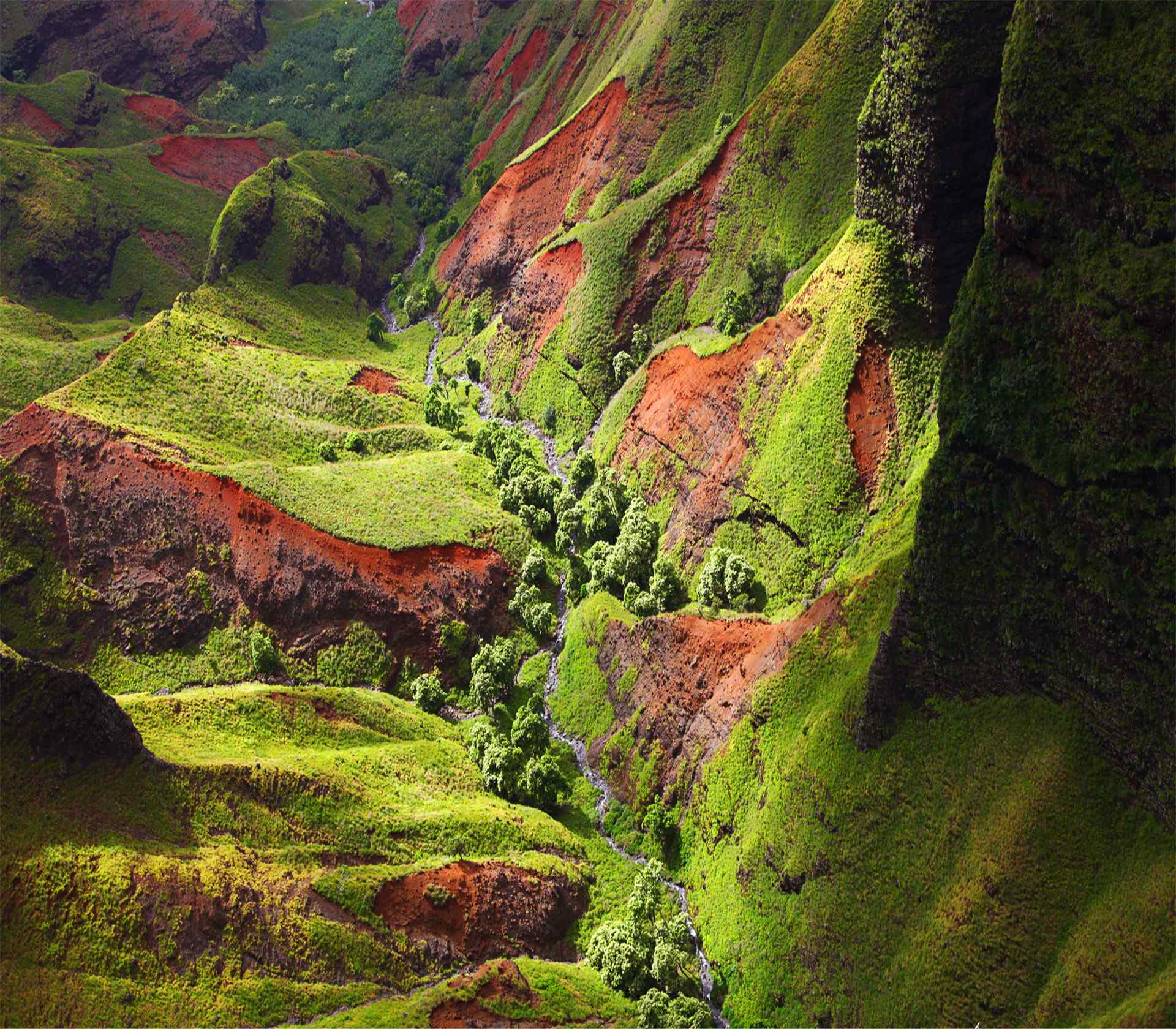 夏威夷山坡绿苔风景高清图片桌面壁纸