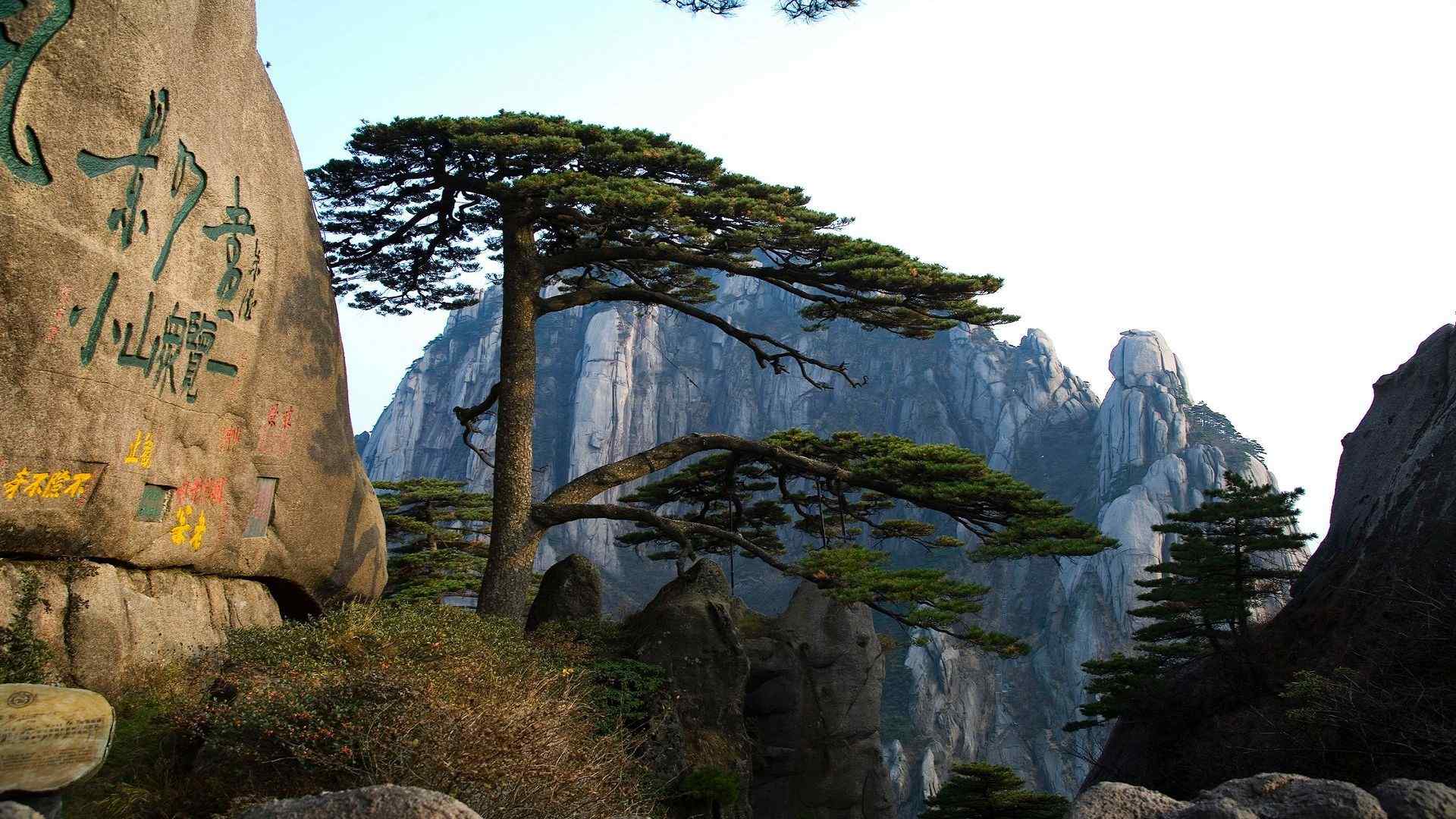 黄山国家地质公园迎客松树风景电脑壁纸