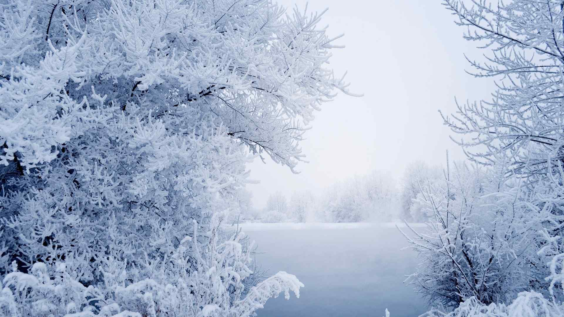 唯美雪景桌面壁纸高清下载：白色的童话