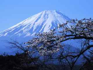 唯美富士山近景高清风景桌面壁纸