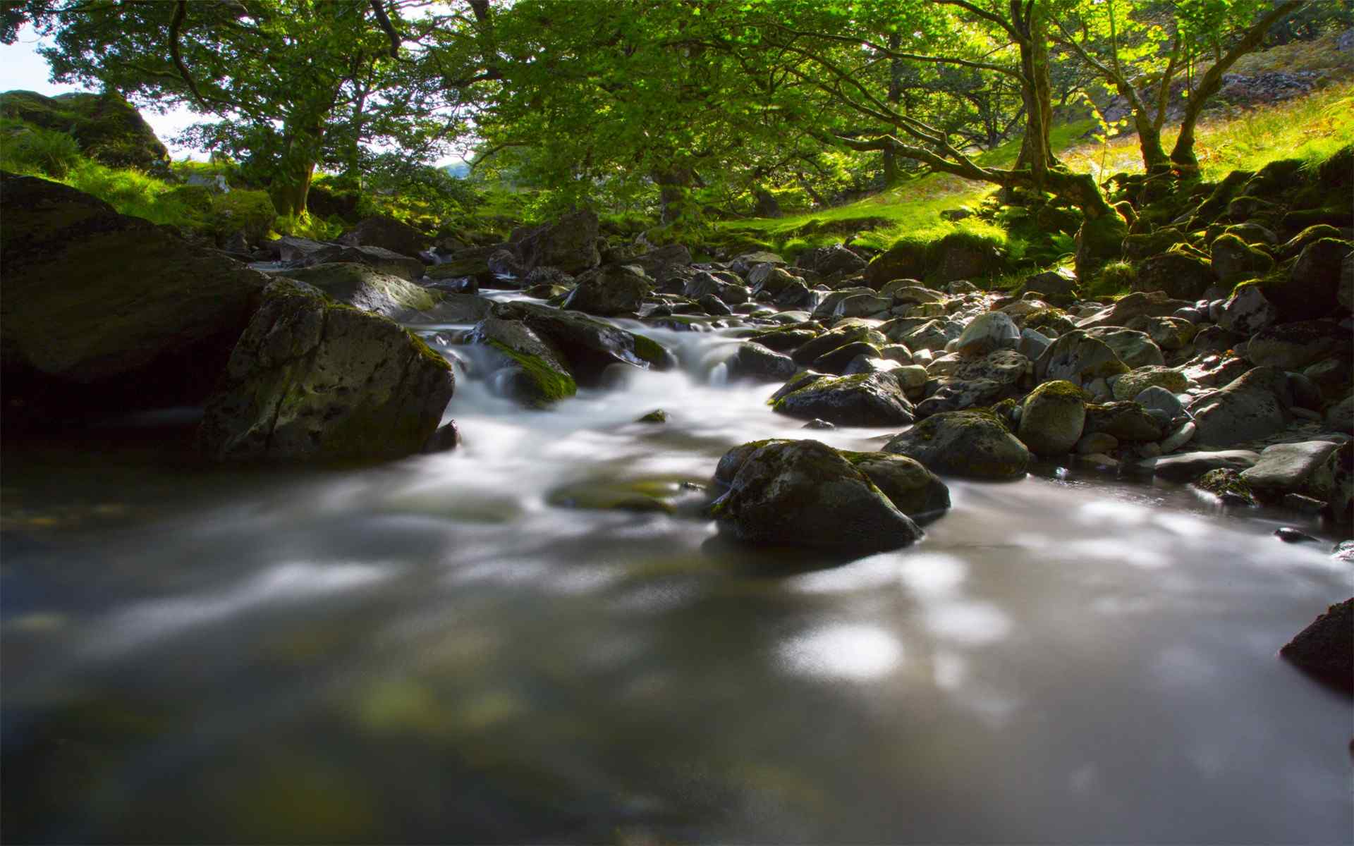 清新山涧森林河流自然风景高清摄影桌面壁纸