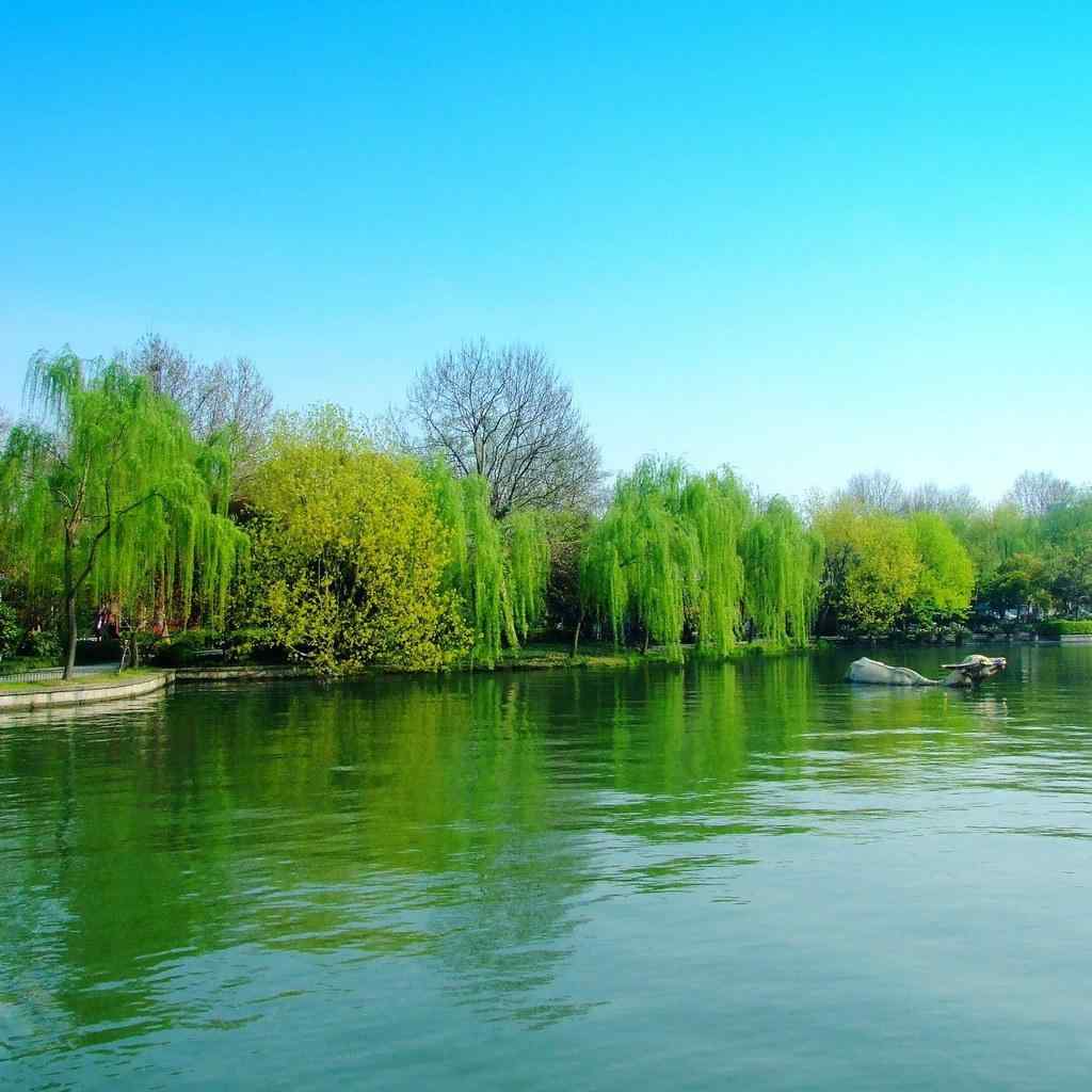 唯美花千骨杭州西湖风景摄影壁纸：自古多情最江南