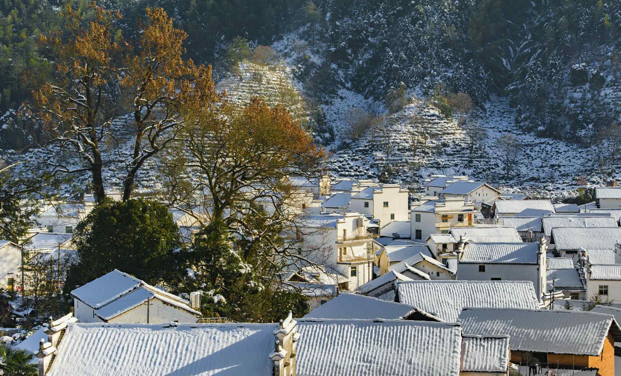 中国五大文艺之都冬含秋色的景德镇