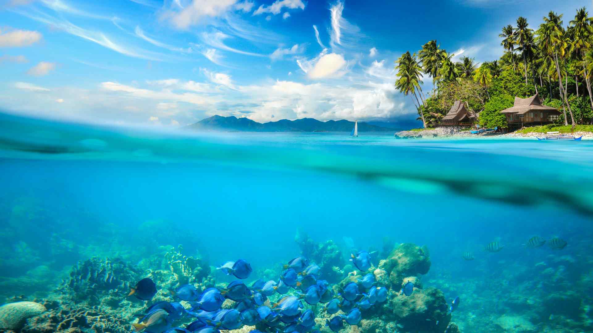清透静谧的海底珊瑚景色图片高清电脑壁纸 第一辑