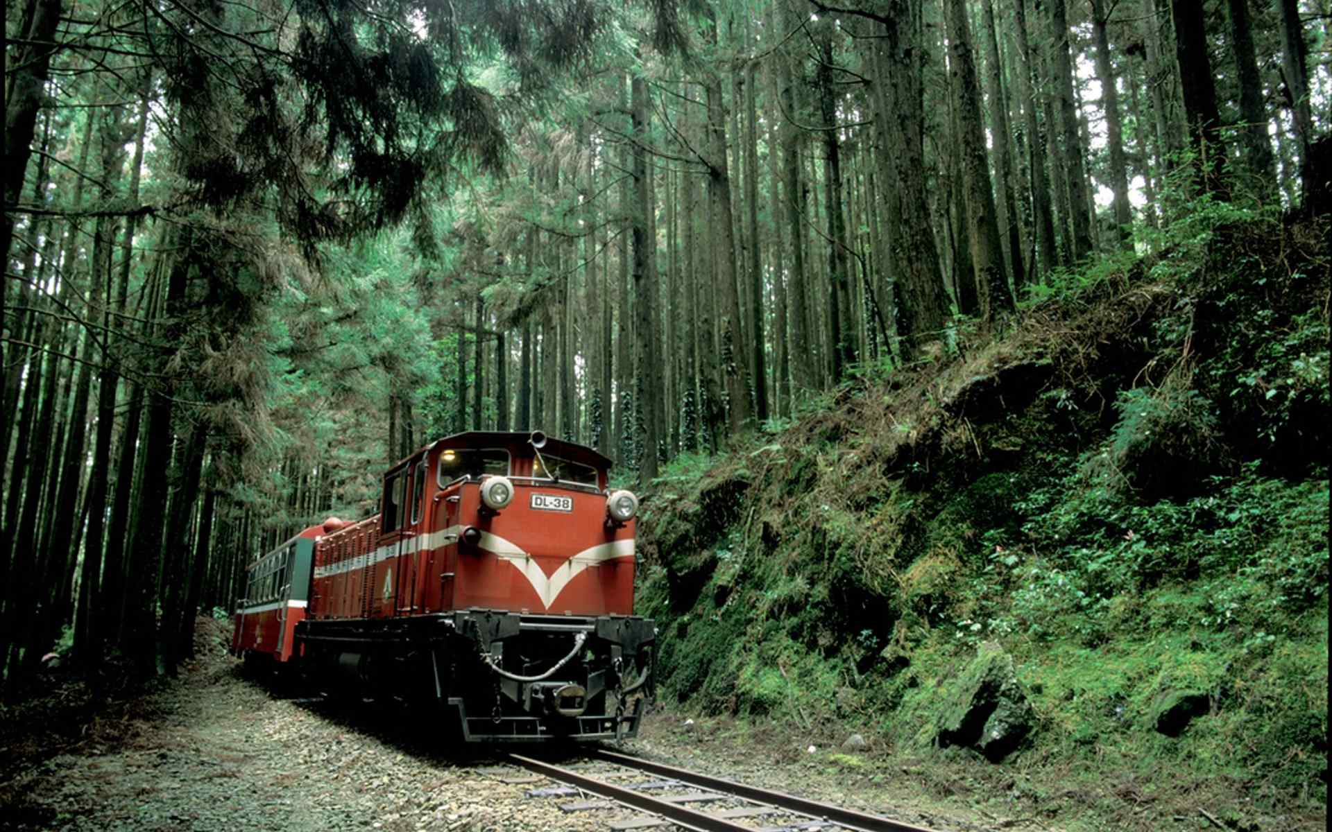 日系小清新红色列车穿越树林的桌面壁纸2