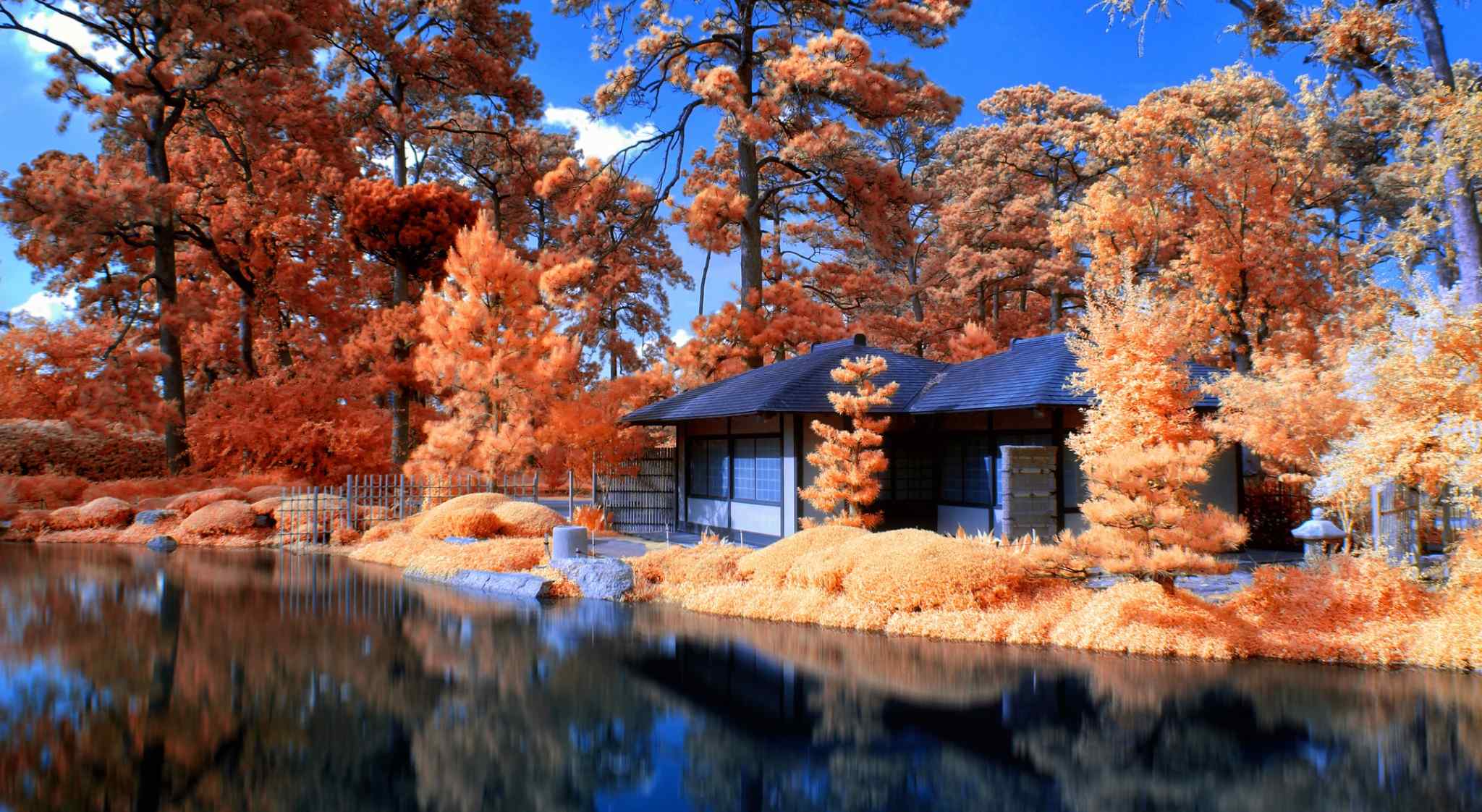 日本庭院观秋火红枫叶摄影电脑壁纸图片大全（一）