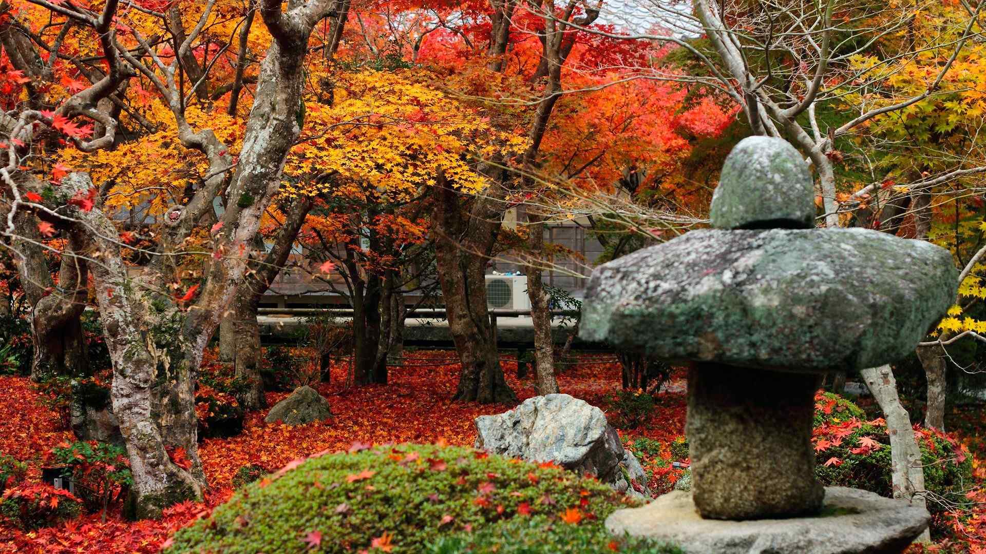 日本庭院观秋火红枫叶摄影电脑壁纸图片大全（二）
