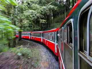 日系小清新红色列车穿越树林的桌面壁纸1