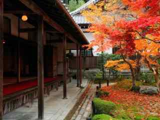 日本庭院观秋火红枫叶摄影电脑壁纸图片大全（二）