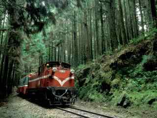 日系小清新红色列车穿越树林的桌面壁纸2