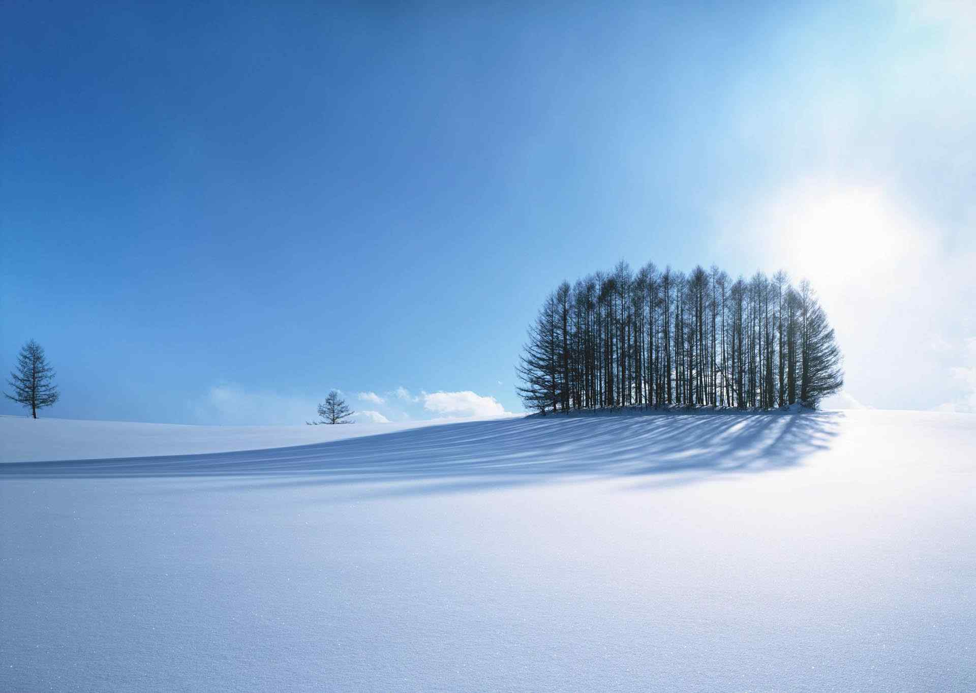 雪国北海道唯美雪景桌面壁纸