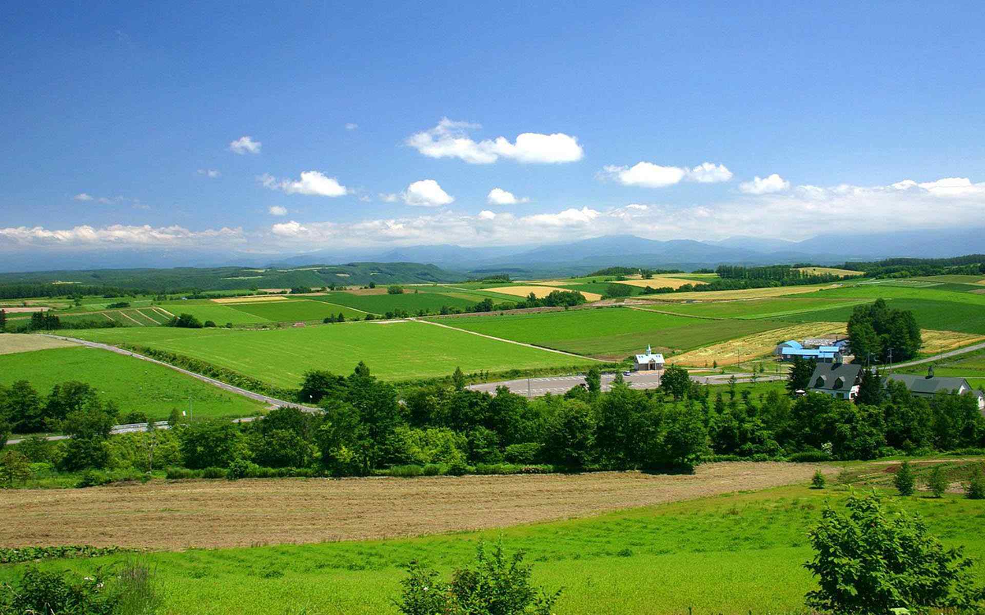 夏季北海道绿色田园风光桌面壁纸