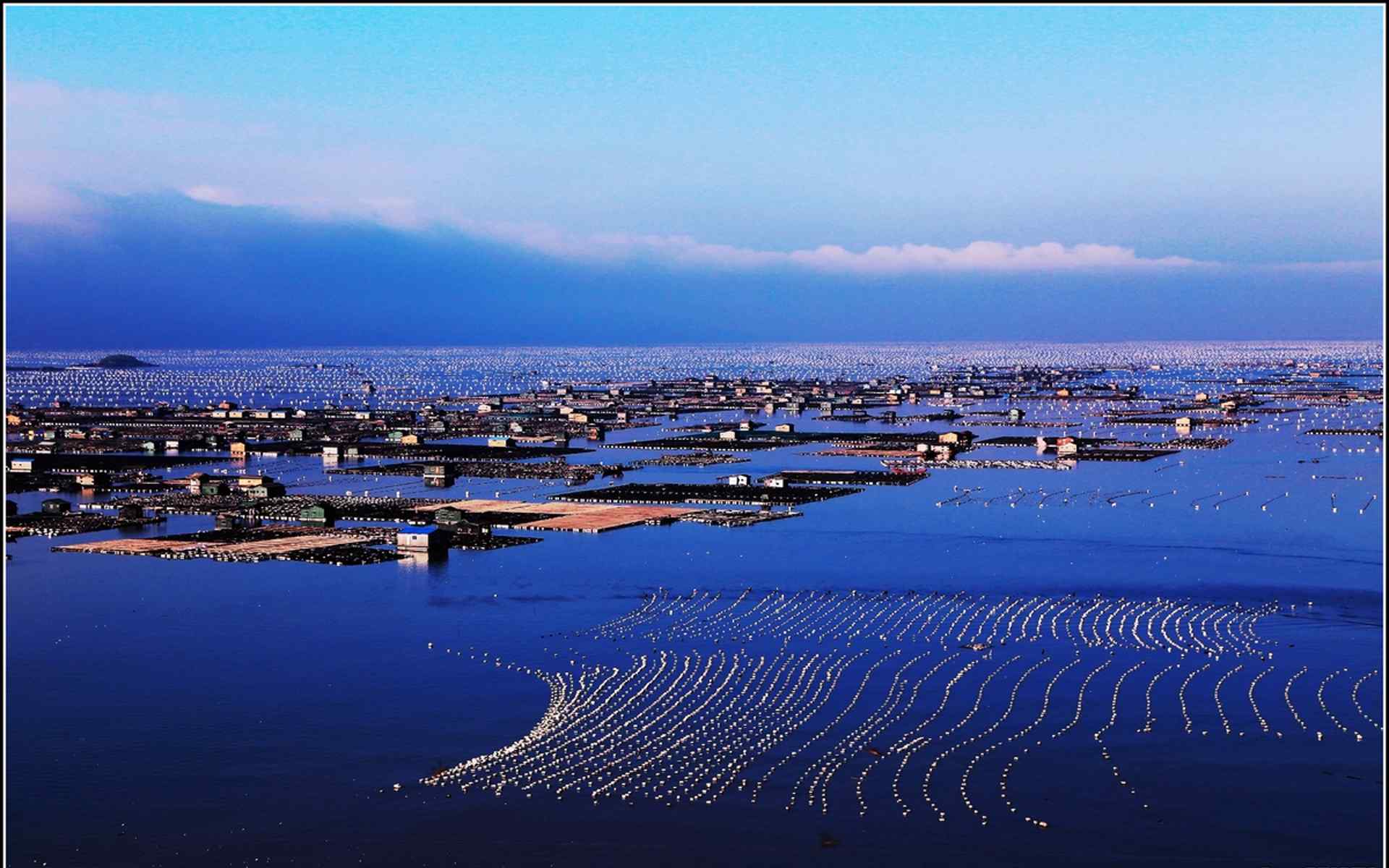 福建霞浦美丽的海上渔排桌面壁纸