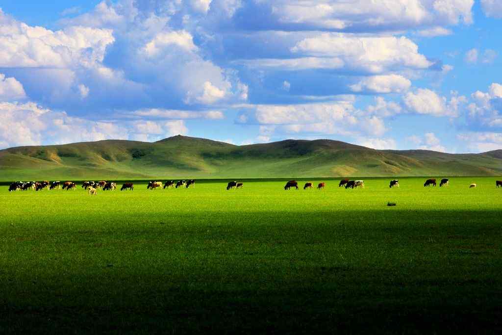 美丽的蒙古草原风景图片高清电脑桌面壁纸