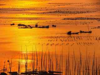 福建霞浦最美的滩涂日落风光桌面壁纸
