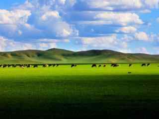 美丽的蒙古草原风景图片高清电脑桌面壁纸