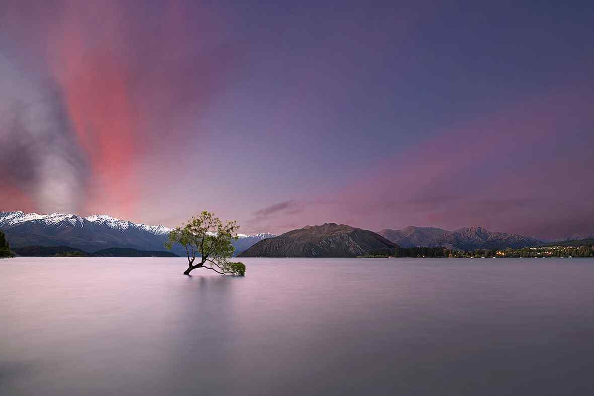 唯美的新西兰湖上的孤独的树风景壁纸