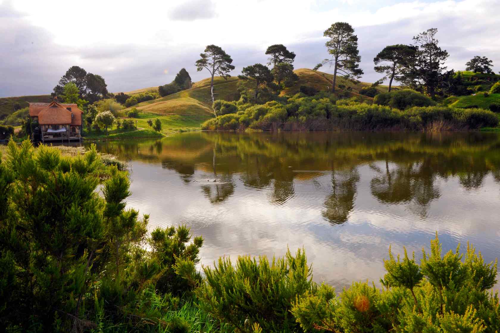 新西兰的美丽小霍比特村儿风景壁纸