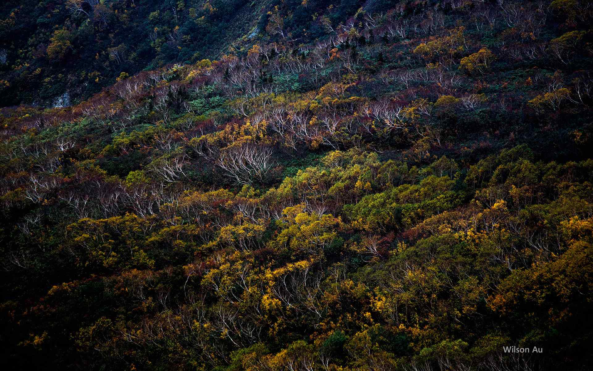 日本本州自然风景图片欣赏桌面壁纸