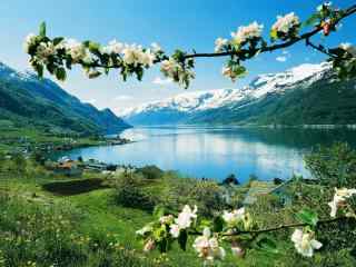 春暖花开的挪威峡