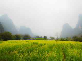 绿色小清新桂林田园风景壁纸