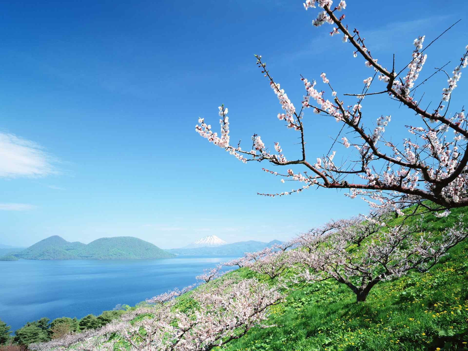 美丽清新的北海道风景摄影壁纸图片