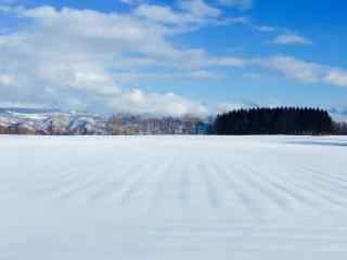 静谧唯美的北海道雪场桌面壁纸