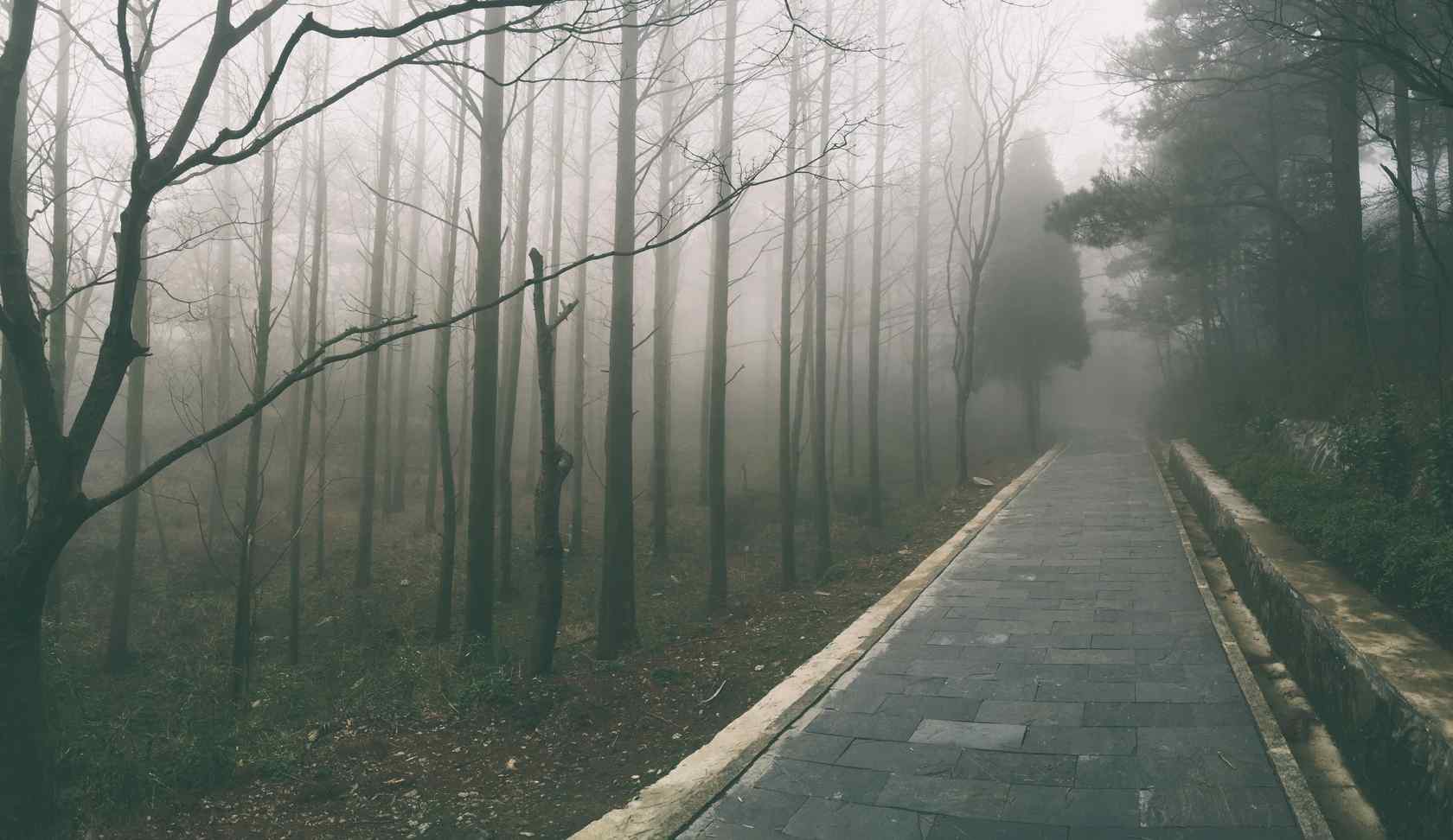 雾色朦胧的庐山风景桌面壁纸第一辑（9张）