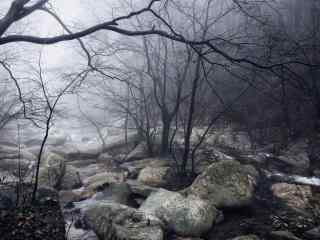 庐山雾色朦胧的溪涧桌面壁纸