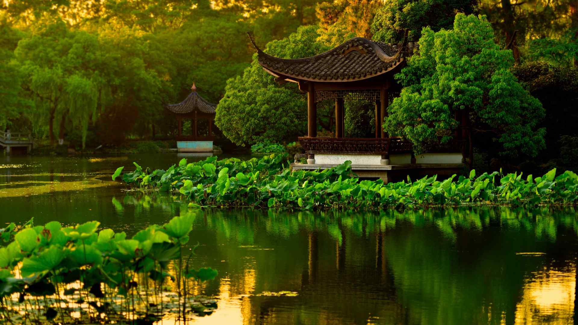 杭州西湖公园凉亭池塘荷花风景壁纸桌面