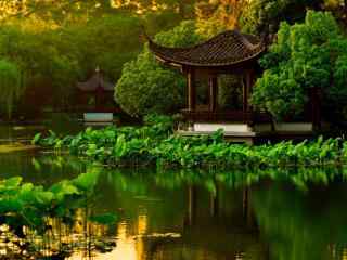 杭州西湖公园凉亭池塘荷花风景壁纸桌面