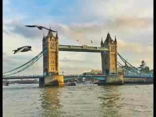 海鸟飞过泰晤士河