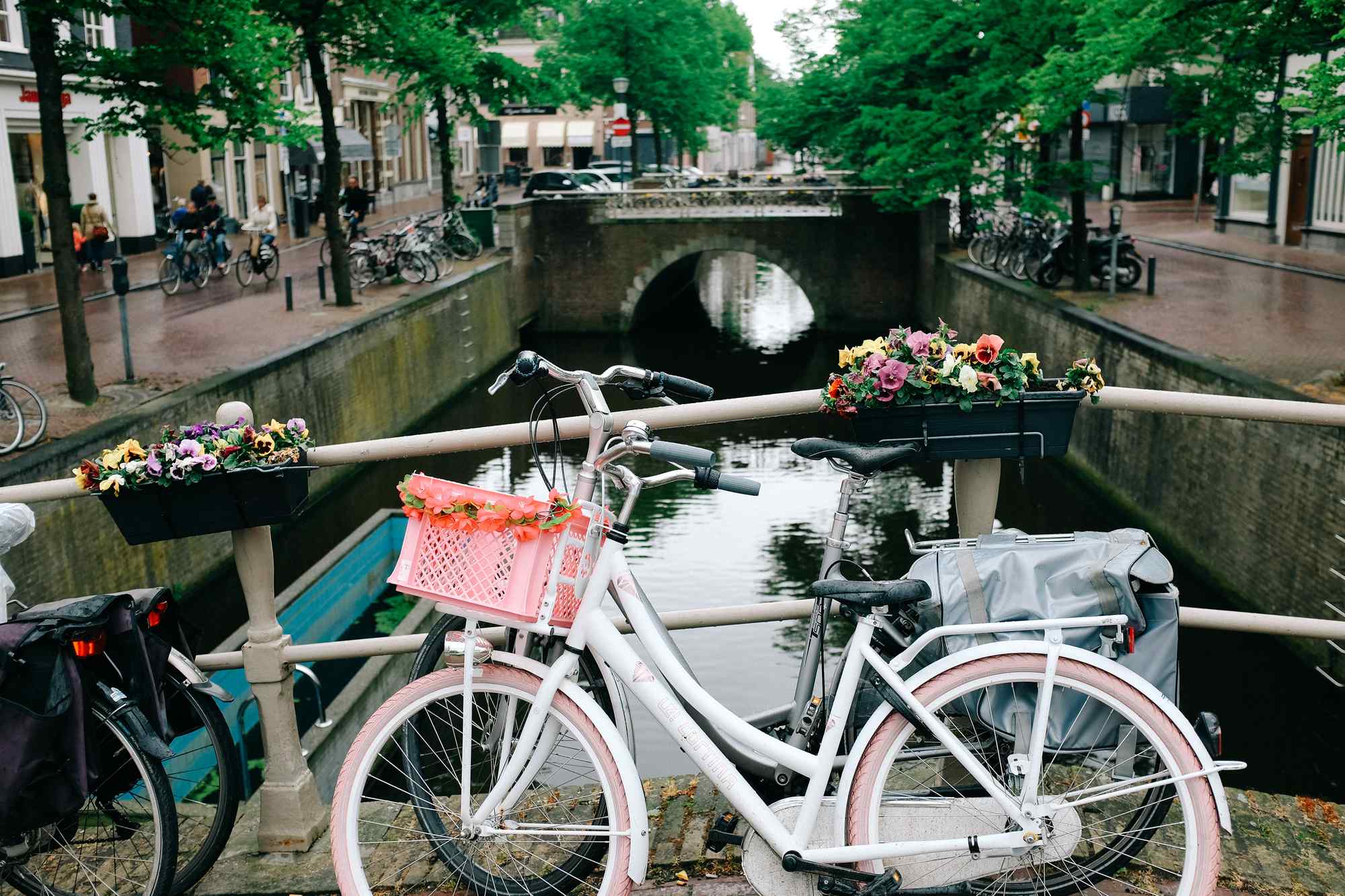 桥上的鲜花和单车摄影图片壁纸