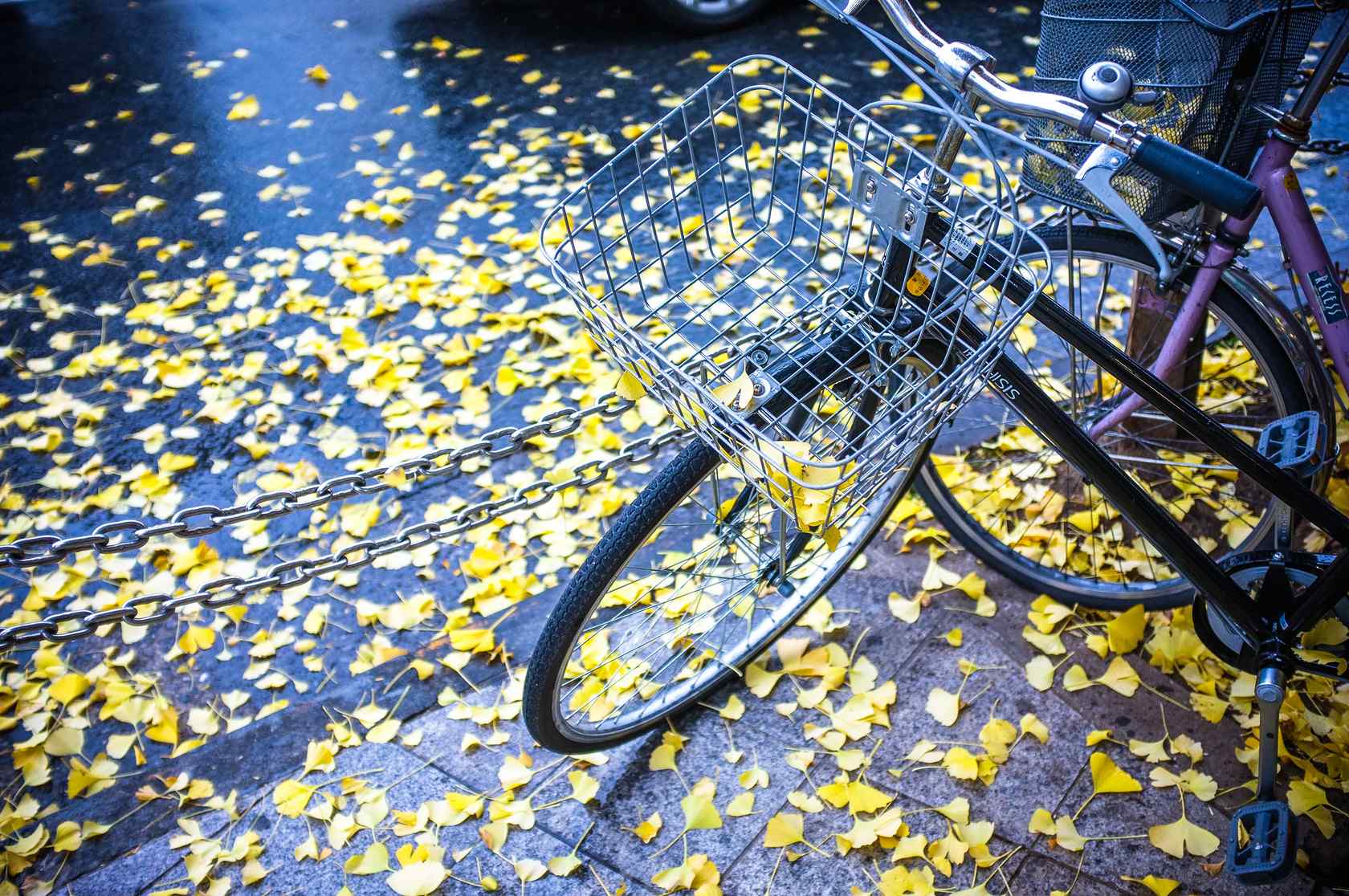 自行车和银杏落叶桌面壁纸