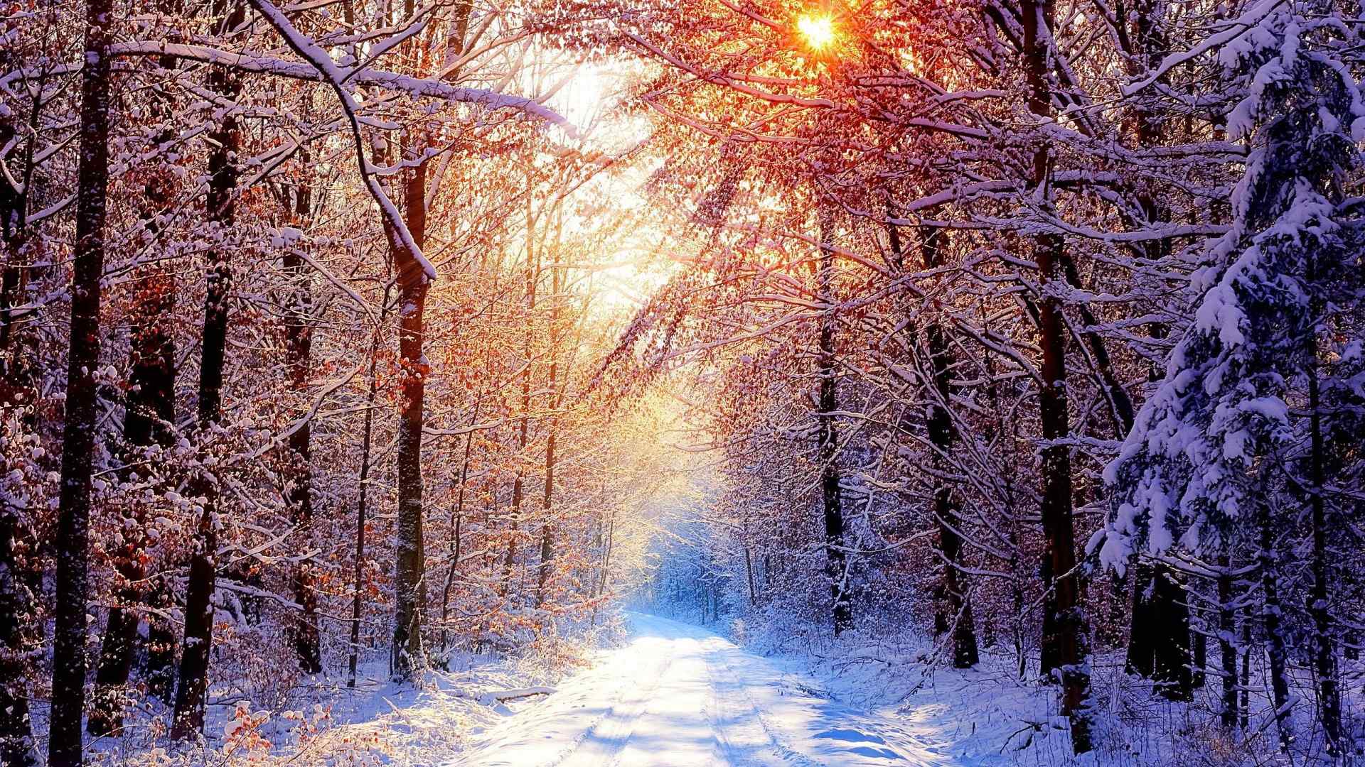 唯美的冬日雪景桌面壁纸图片下载