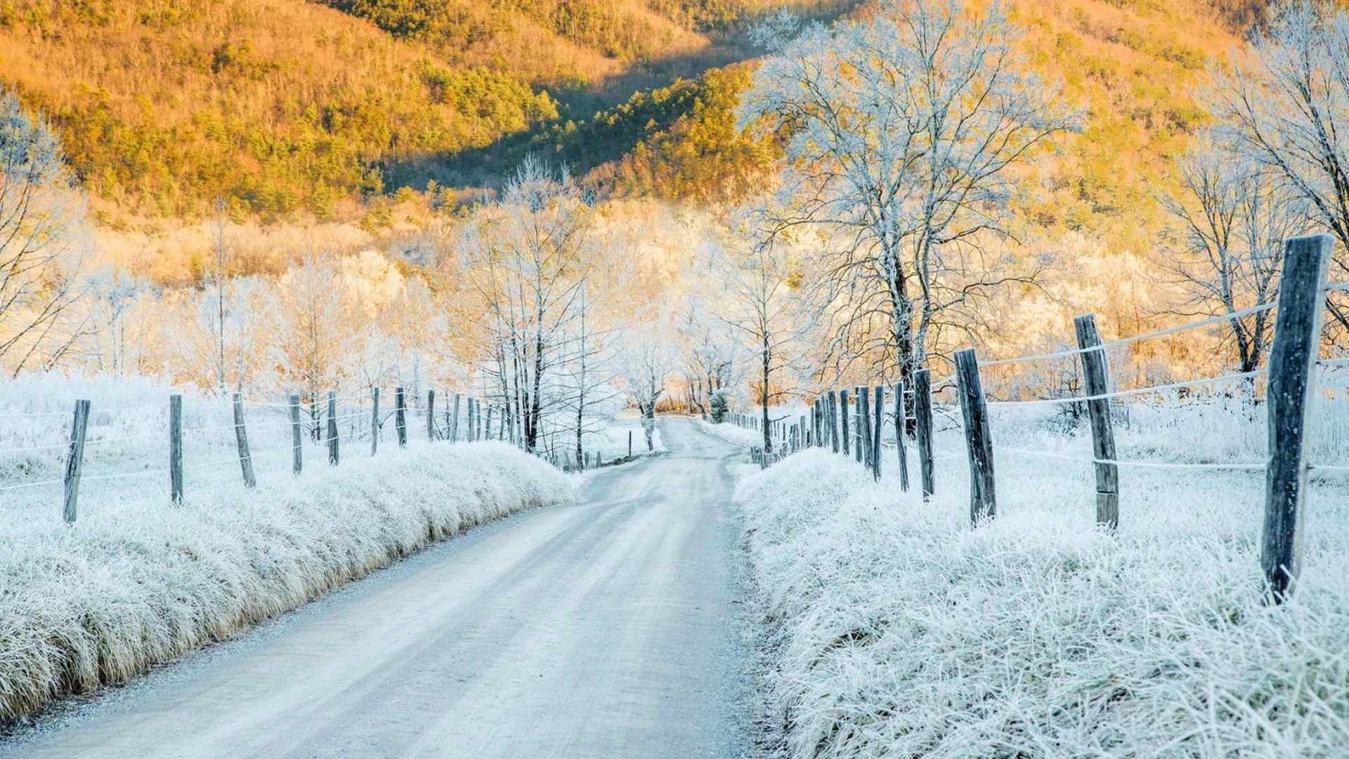 唯美的冬日雪景桌面壁纸图片下载