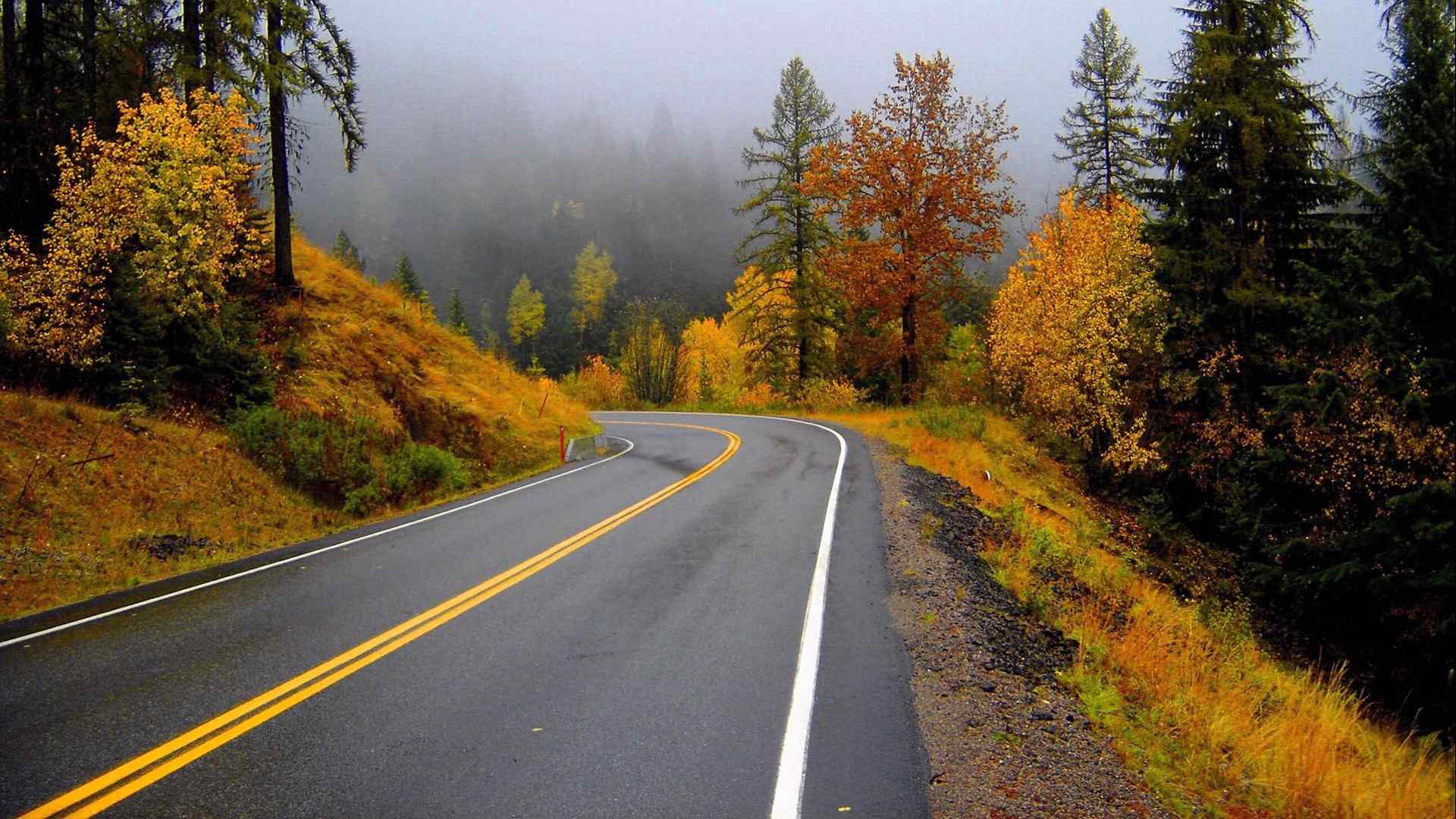秋天唯美景色公路风景桌面壁纸
