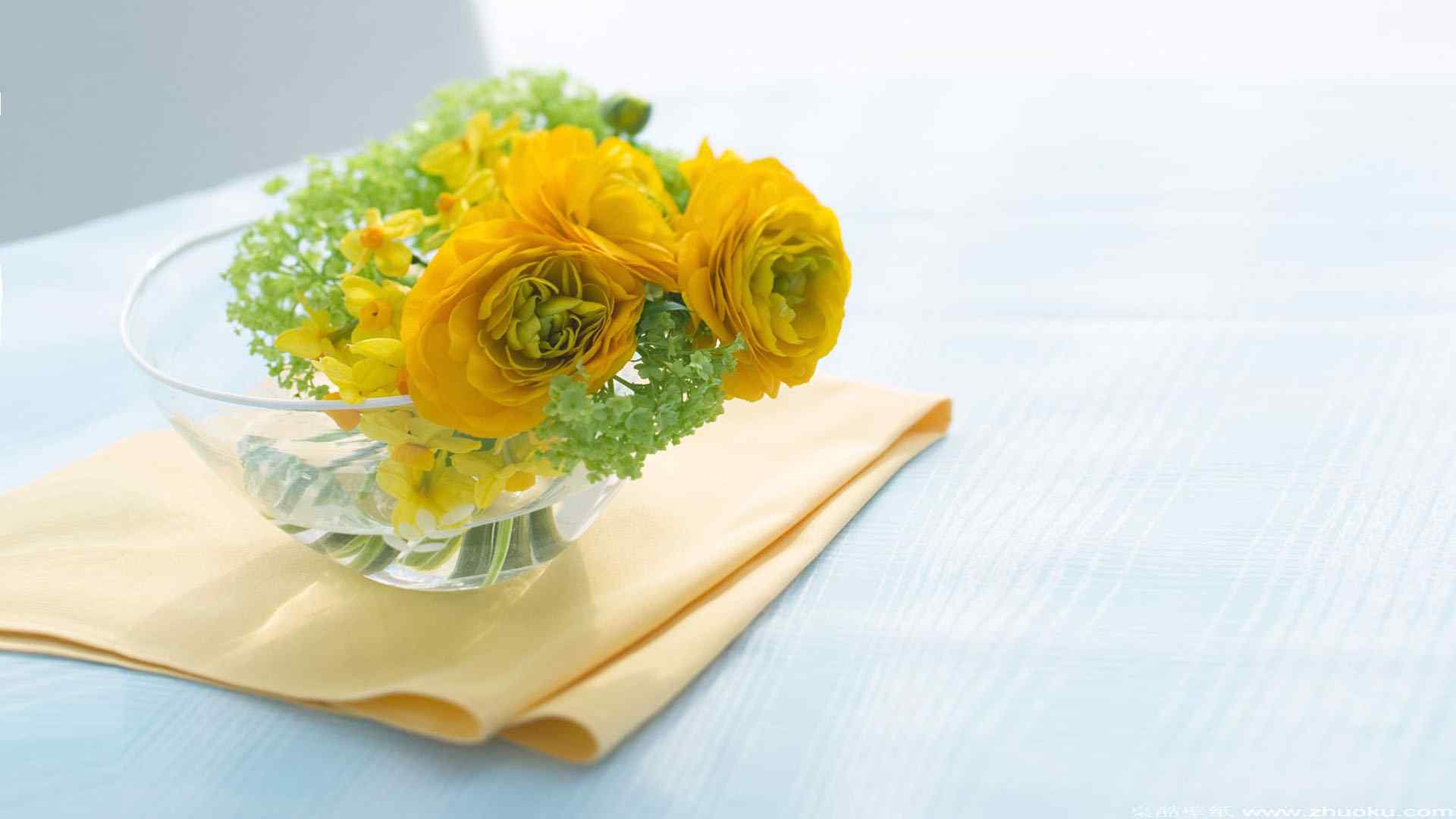 清新唯美的植物花卉图片桌面壁纸