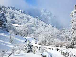 山间雪景风景桌面壁纸
