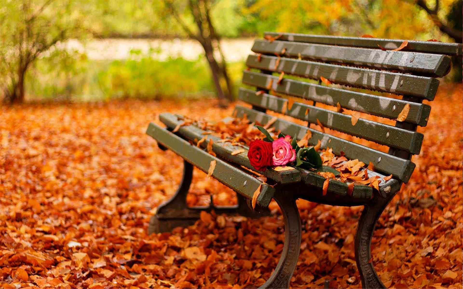 唯美秋天的风景枫叶图片桌面壁纸下载