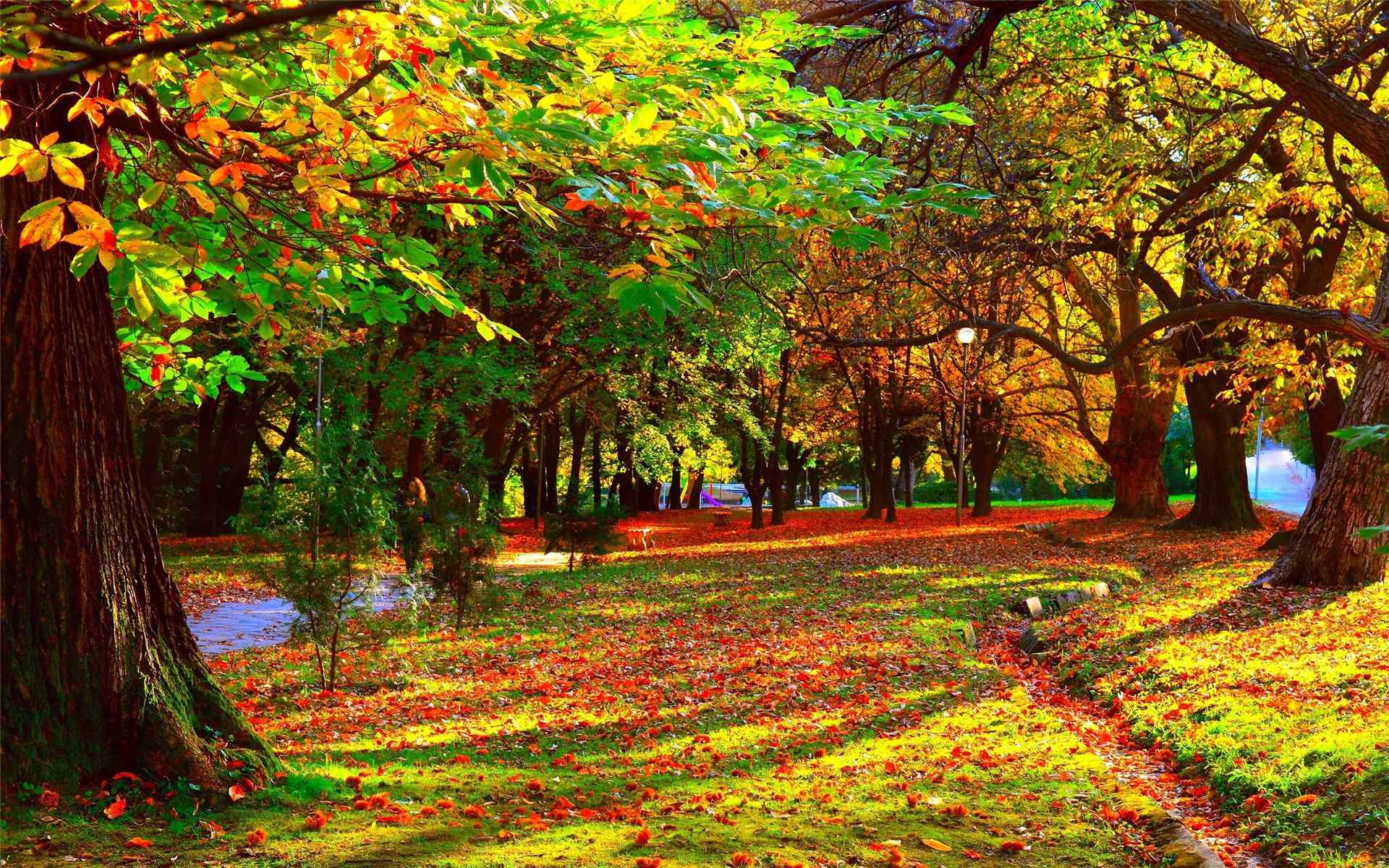 秋天森林唯美的自然风景图片高清电脑壁纸第二辑