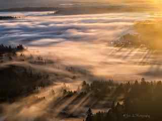唯美的日出晨雾自然风景桌面壁纸