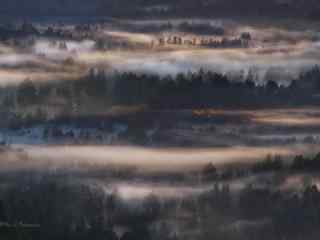 晨雾中的唯美自然风景图片桌面壁纸