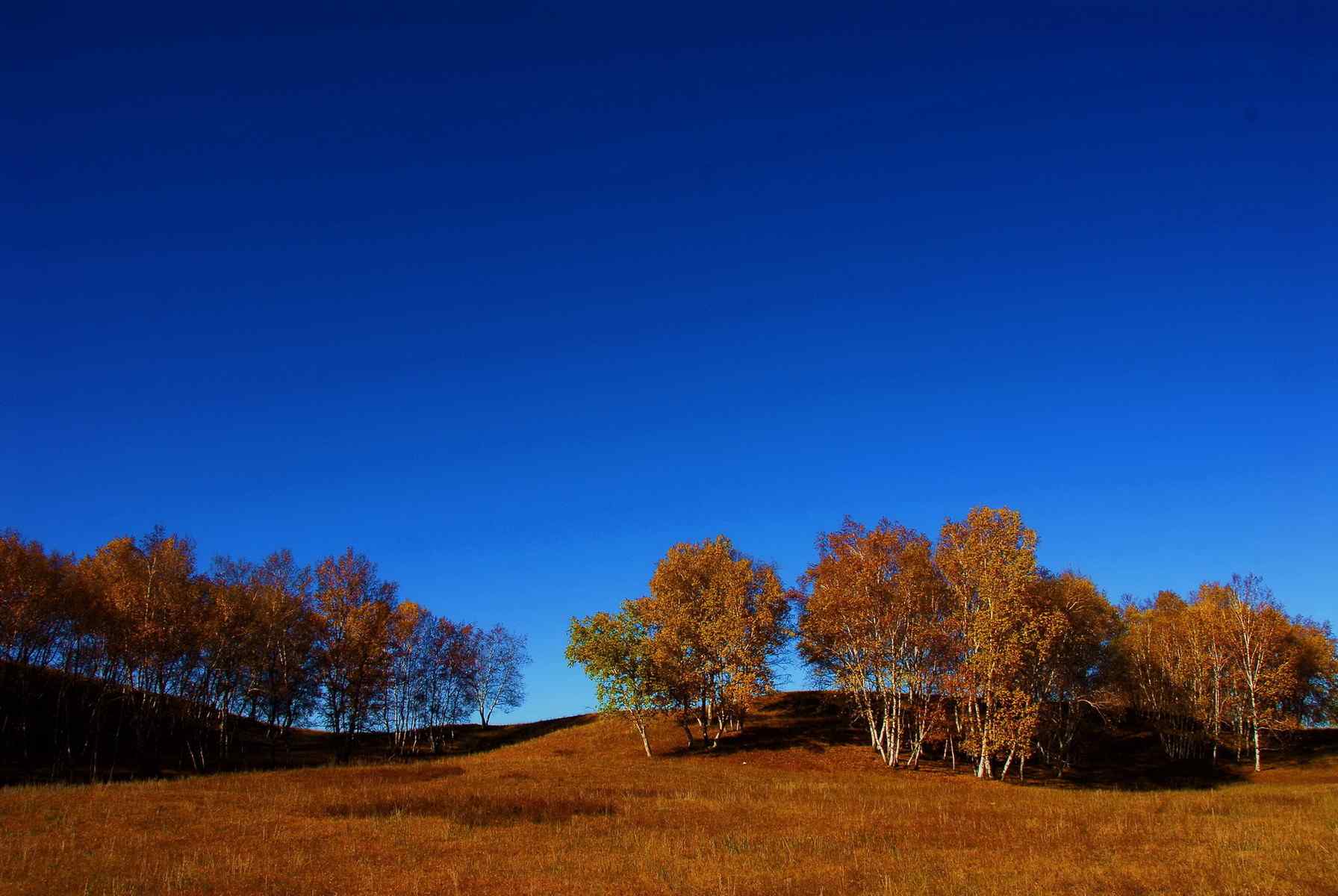 蓝天碧水的深秋风景图片高清电脑壁纸（8张）