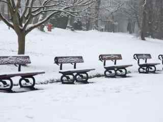 唯美公园雪景摄影图片桌面壁纸